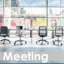 - Meeting Chairs